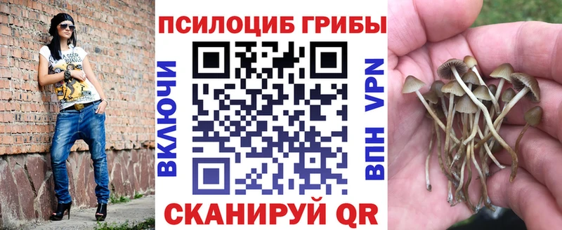 Псилоцибиновые грибы Magic Shrooms  Рошаль 